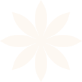 vector 2