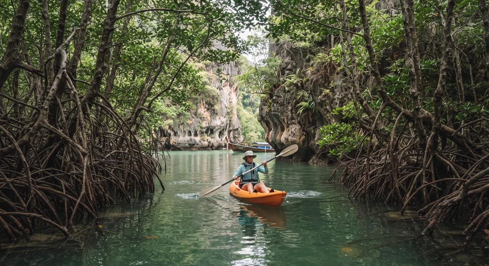 Kayaking the mangrove channels at Ao Thalane Kayaking the mangrove channels at Ao Thalane